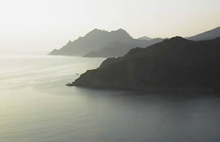 SUNTSE INTERNATIONAL - Consulting STIC - [Conseil en strat�gie]